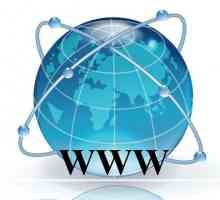 World Wide Web. Istoria numelui și modul în care SUA au creat Internetul