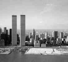 World Trade Center 1 (Turnul Libertății): o descriere, istorie