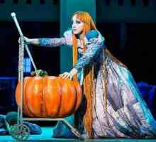 "Totul despre Cinderella" (muzical): recenzii. Autori, actori și roluri