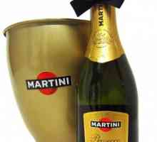 Alegeți, beți și mâncați un vin spumos Martini Prosecco