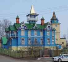 Vyritsa (regiunea Leningrad) - un sat de vacanță minunat