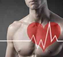 Tensiunea arterială ridicată și frecvența cardiacă scăzută - cauze și tratament