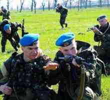 Unitățile de aterizare extrem de mobile (trupele din aer) ale Ucrainei