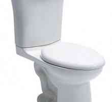 Înălțimea vasului de toaletă: standard. Toaletă pentru persoane cu dizabilități. Dimensiunile…