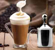 Lapte de spuma de lapte pentru cappuccino: descriere, caracteristici. Mașină de cafea cu cappuccino
