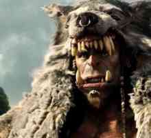 Warcraft: Clanul Nordului Wolf