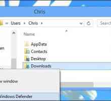 Windows Defender - ce este? Cum dezactivez Windows Defender 7? Windows 8 Defender