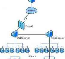 Windows Server Update Services (WSUS): Configurare. Actualizare offline WSUS