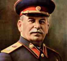 Pentru ce a fost Premiul Stalin? Câștigătorii Premiului Stalin