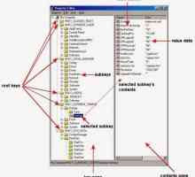 Ce este responsabil pentru cheia de registry Windows HKEY_LOCAL_MACHINE: parametrii și elementele…