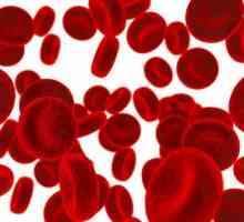 Bolile de sânge: o listă cu cele mai periculoase