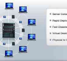 De ce avem nevoie de virtualizare server?