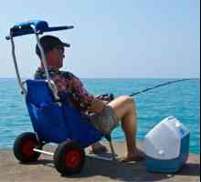 De ce avem nevoie de scaune pentru pescuit?