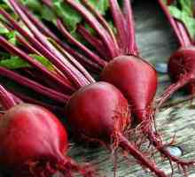 Ghicitori despre sfecla rosie - cea mai folositoare legumă