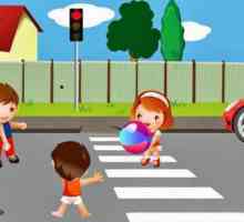Misterele privind regulile de trafic pentru copii: studiem regulile drumului într-o formă de joc