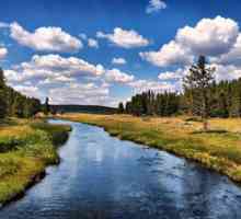 Misteriile despre râu pentru dezvoltare și învățare