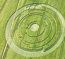 Cercuri misterioase pe câmp - ce este?