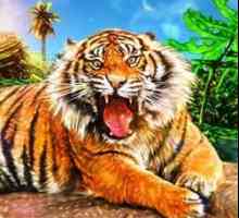 Să ne uităm la cartea de vis: la ce visează un tigru?