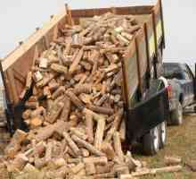 Stocarea de lemn de foc: permisiune, unelte