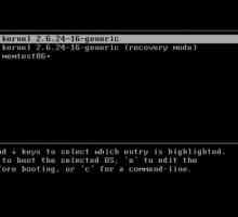 GRUB încărcător de sistem de operare: configurație, descriere. Instalarea și repararea GRUB