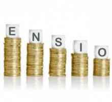 Cererea de numire a unei pensii: descrierea procedurii, cerințe și eșantion