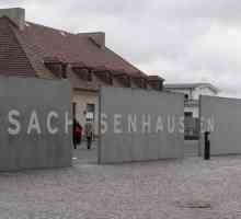 Sachsenhausen este un lagăr de concentrare. Istorie, descriere. Infracțiunile naziștilor