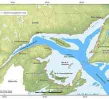 Golful Sf. Lawrence: descriere, istorie și fapte interesante