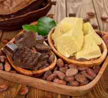 Substituent de unt de cacao: proprietăți, tipuri, beneficii și daune