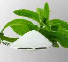 Înlocuitor de zahăr Stevia. Îndulcitori naturali