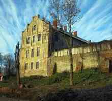 Castelul Georgenburg: fotografie, adresă, excursii