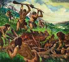 Ocuparea oamenilor primitivi, care a făcut posibilă obținerea alimentelor din carne - vânătoare și…