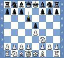 Protecția strategiei Philidor - șah