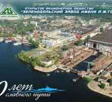 Zelenodolsky naval construcție de plante numit după Gorky: perspectivele companiei