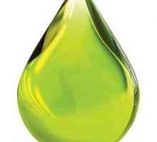 Uleiul verde: nu numai un produs nutritiv, dar și delicios