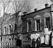 Spitale Zemsky în secolul al XIX-lea. Deschiderea primelor spitale Zemsky