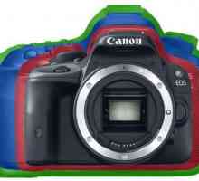 Mirror Camera Canon EOS 60D: specificații și recenzii