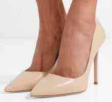 Pantofi de toc pentru femei: o revizuire a celor mai bune modele