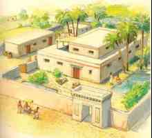 Viața unui mare în Egiptul antic. Dispozitivul casei și îndatoririle de stat ale nobililor