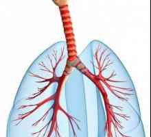 Capacitatea pulmonară vitală și metodele de determinare a acesteia