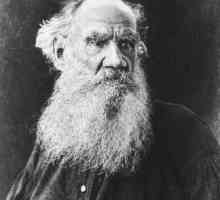 Viața lui Andrei Bolkonsky. L. N. Tolstoy, "Războiul și pacea"