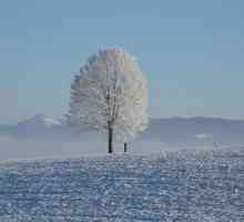 Lunile de iarnă asociate cu fenomenele vieții sălbatice: nume antice
