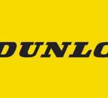 Pneuri de iarna `Dunlop`: recenzii ale clientilor