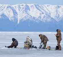 Pescuitul de iarnă în regiunea Murmansk: fotografii și recenzii