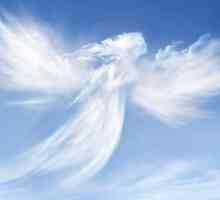 Semnele îngerilor păzitori: cum să le recunoaștem?