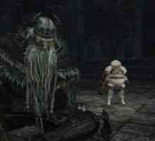 Familiarizarea cu personajele Dark Souls 3: Sigvard de Katarina