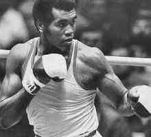 Celebrul boxer amator, cubanez Teofilo Stevenson Lawrence. Biografie, realizări sportive
