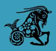 Caracteristica zodiacala: mascul Capricorn-Rooster - ce este?