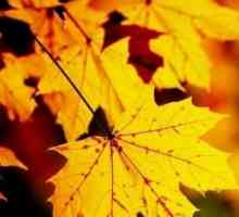 `Золотая осень`, Левитан. Картина из собрания Третьяковской галереи