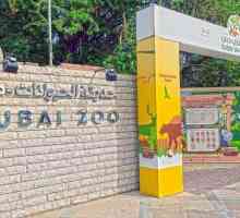 Gradina zoologica din Dubai: cum sa ajungem acolo? opinii