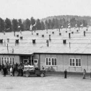 11 Aprilie - Ziua eliberării deținuților din lagărele de concentrare fasciste (scenariu)